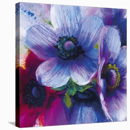 Floral Intensity IV-Nick Vivian-Stretched Canvas