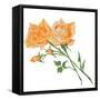 Floral IV-Linda Baliko-Framed Stretched Canvas
