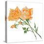 Floral IV-Linda Baliko-Stretched Canvas