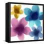 Floral Joy II-Hannah Carlson-Framed Stretched Canvas