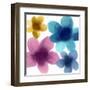 Floral Joy II-Hannah Carlson-Framed Art Print