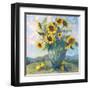 Floral Kaleidoscope III-Nanette Oleson-Framed Art Print