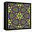 Floral Kaleidoscope Pattern-PandaWild-Framed Stretched Canvas