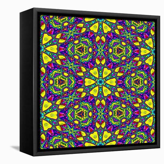 Floral Kaleidoscope Pattern-PandaWild-Framed Stretched Canvas