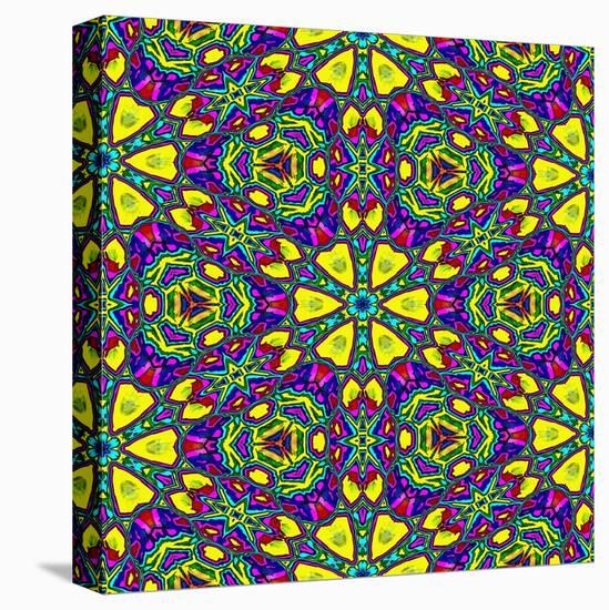 Floral Kaleidoscope Pattern-PandaWild-Stretched Canvas