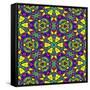 Floral Kaleidoscope Pattern-PandaWild-Framed Stretched Canvas