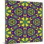 Floral Kaleidoscope Pattern-PandaWild-Mounted Art Print