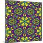 Floral Kaleidoscope Pattern-PandaWild-Mounted Art Print