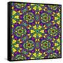 Floral Kaleidoscope Pattern-PandaWild-Framed Stretched Canvas