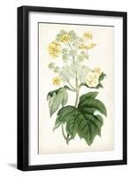 Floral Lace II-Curtis-Framed Art Print