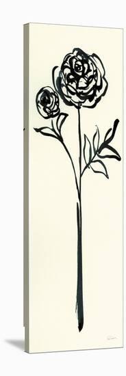 Floral Line I on Cream-Sue Schlabach-Stretched Canvas