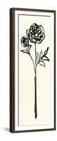 Floral Line I on Cream-Sue Schlabach-Framed Premium Giclee Print