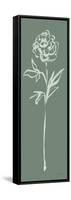 Floral Line II Green-Sue Schlabach-Framed Stretched Canvas