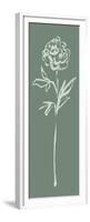 Floral Line II Green-Sue Schlabach-Framed Premium Giclee Print