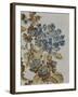 Floral Lines II-Tania Bello-Framed Giclee Print