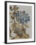 Floral Lines II-Tania Bello-Framed Giclee Print