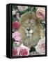 Floral Lion-Diane Stimson-Framed Stretched Canvas
