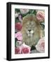 Floral Lion-Diane Stimson-Framed Art Print