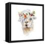 Floral Llama IV-Lanie Loreth-Framed Stretched Canvas