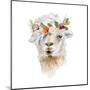 Floral Llama IV-Lanie Loreth-Mounted Art Print