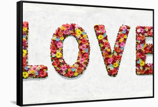 Floral Love-Jamie MacDowell-Framed Stretched Canvas