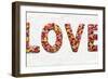Floral Love-Jamie MacDowell-Framed Premium Giclee Print