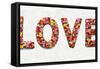 Floral Love-Jamie MacDowell-Framed Stretched Canvas