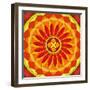 Floral Mandala Drawing Sacred Circle-AGCuesta-Framed Art Print