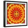 Floral Mandala Drawing Sacred Circle-AGCuesta-Framed Art Print