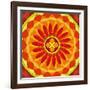 Floral Mandala Drawing Sacred Circle-AGCuesta-Framed Art Print