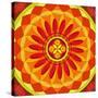 Floral Mandala Drawing Sacred Circle-AGCuesta-Stretched Canvas