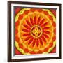 Floral Mandala Drawing Sacred Circle-AGCuesta-Framed Premium Giclee Print