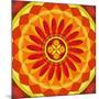 Floral Mandala Drawing Sacred Circle-AGCuesta-Mounted Premium Giclee Print