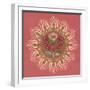 Floral Mandala I-Dina June-Framed Art Print