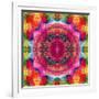 Floral Mandala Ornament-Alaya Gadeh-Framed Photographic Print