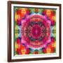 Floral Mandala Ornament-Alaya Gadeh-Framed Photographic Print