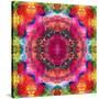 Floral Mandala Ornament-Alaya Gadeh-Stretched Canvas