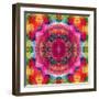 Floral Mandala Ornament-Alaya Gadeh-Framed Photographic Print