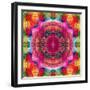 Floral Mandala Ornament-Alaya Gadeh-Framed Photographic Print