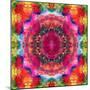 Floral Mandala Ornament-Alaya Gadeh-Mounted Photographic Print