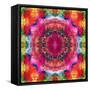 Floral Mandala Ornament-Alaya Gadeh-Framed Stretched Canvas