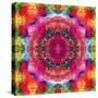 Floral Mandala Ornament-Alaya Gadeh-Stretched Canvas