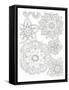 Floral Mandala-Pam Varacek-Framed Stretched Canvas