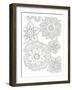 Floral Mandala-Pam Varacek-Framed Art Print