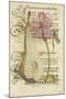 Floral Manuscript I-Stephanie Monahan-Mounted Giclee Print