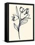 Floral Marker I-June Vess-Framed Stretched Canvas