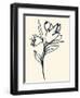 Floral Marker I-June Vess-Framed Art Print