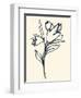 Floral Marker I-June Vess-Framed Art Print