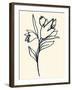 Floral Marker I-June Vess-Framed Art Print