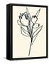 Floral Marker II-June Vess-Framed Stretched Canvas